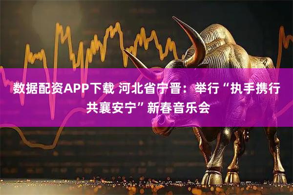 数据配资APP下载 河北省宁晋：举行“执手携行 共襄安宁”新春音乐会