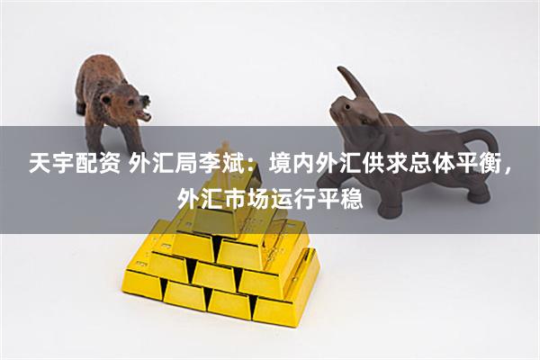 天宇配资 外汇局李斌：境内外汇供求总体平衡，外汇市场运行平稳