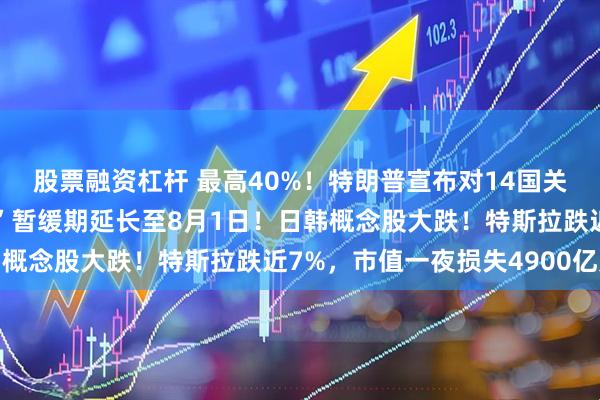 股票融资杠杆 最高40%！特朗普宣布对14国关税税率，将“对等关税”暂缓期延长至8月1日！日韩概念股大跌！特斯拉跌近7%，市值一夜损失4900亿元