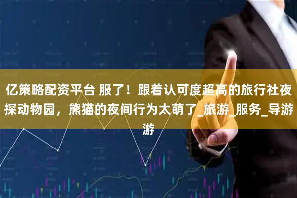 亿策略配资平台 服了！跟着认可度超高的旅行社夜探动物园，熊猫的夜间行为太萌了_旅游_服务_导游