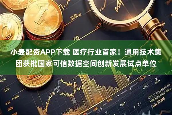 小麦配资APP下载 医疗行业首家！通用技术集团获批国家可信数据空间创新发展试点单位