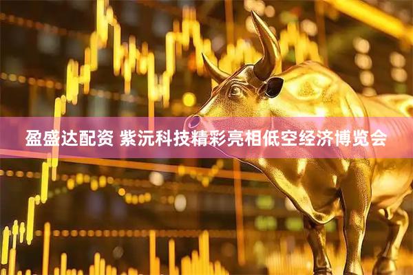 盈盛达配资 紫沅科技精彩亮相低空经济博览会