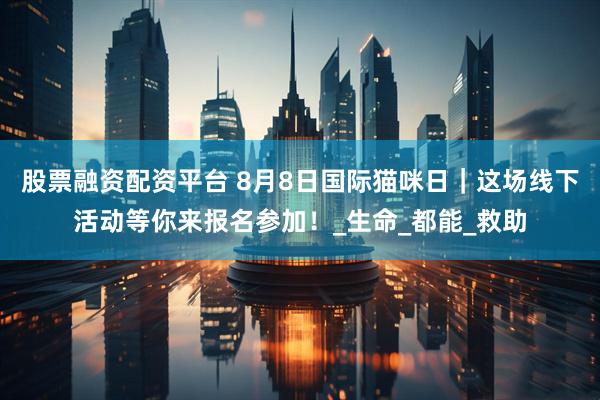 股票融资配资平台 8月8日国际猫咪日｜这场线下活动等你来报名参加！_生命_都能_救助