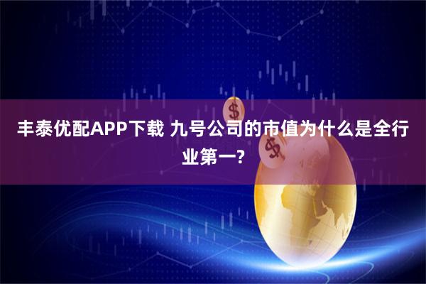 丰泰优配APP下载 九号公司的市值为什么是全行业第一?
