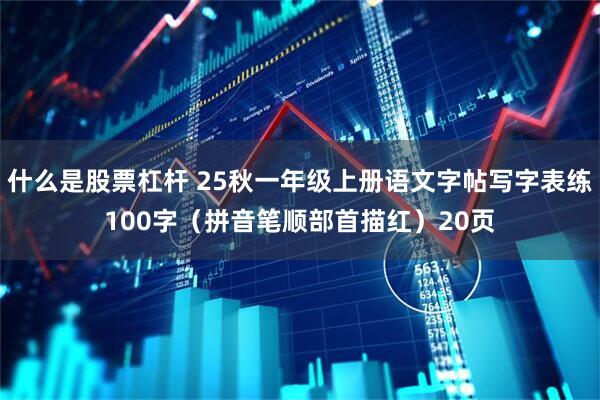 什么是股票杠杆 25秋一年级上册语文字帖写字表练100字(拼音笔顺部首描红)20页