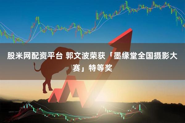 股米网配资平台 郭文波荣获「墨缘堂全国摄影大赛」特等奖