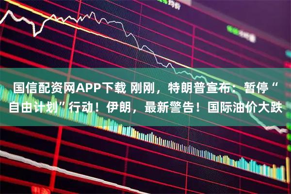 国信配资网APP下载 刚刚,特朗普宣布:暂停“自由计划”行动!伊朗,最新警告!国际油价大跌